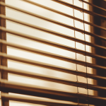 Energy Efficiency at Your Windows: The Honeycomb Blind Advantage