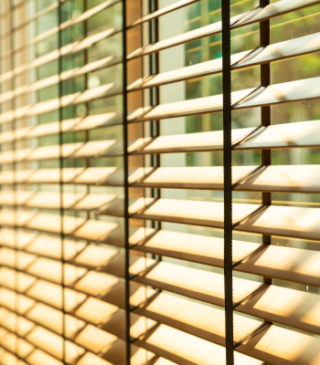 Workfile Banners – March 25 – 2025-07-29T124805.691 Workfile Banners - March 25 - 2025-07-29T124805.691